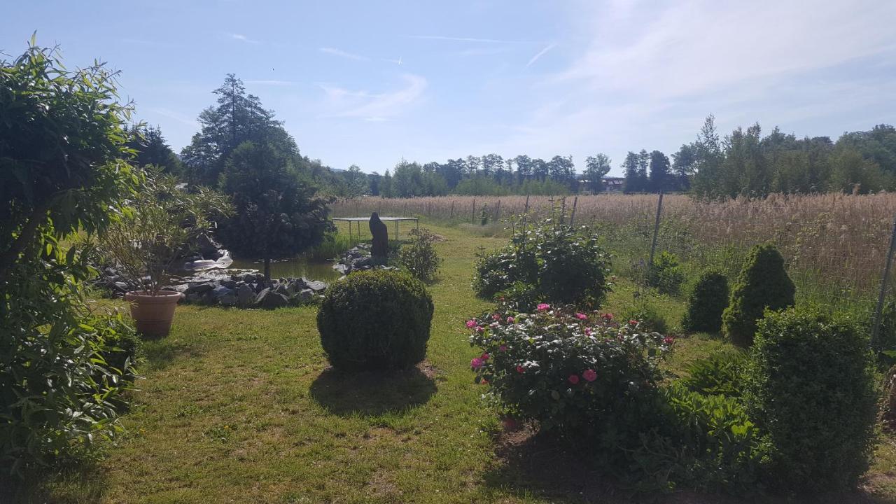 Ferienhaus am Teich Rottleberode Exterior foto