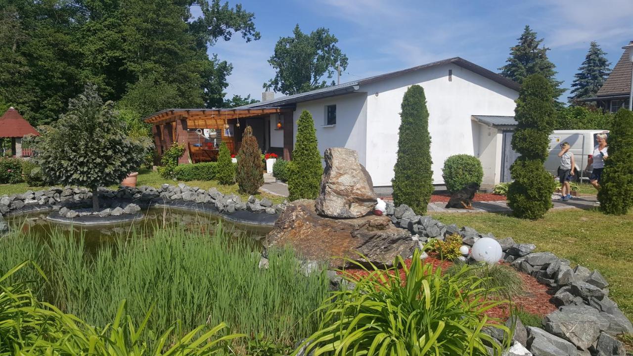 Ferienhaus am Teich Rottleberode Exterior foto